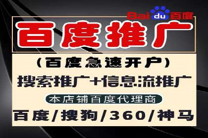 优化SEM广告投放：成功案例分享